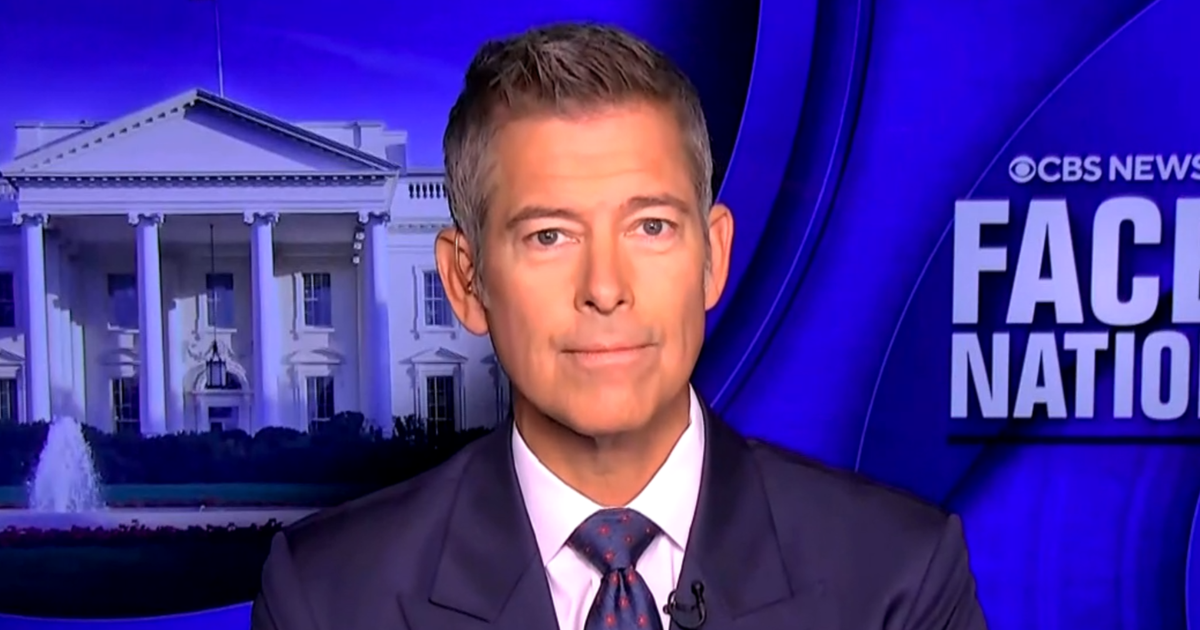 Nəqliyyat katibi Şon Daffi aeroportlarda gecikmələrin artacağını deyib